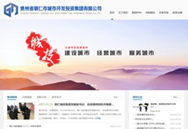 三都城市开发投资集团有限公司